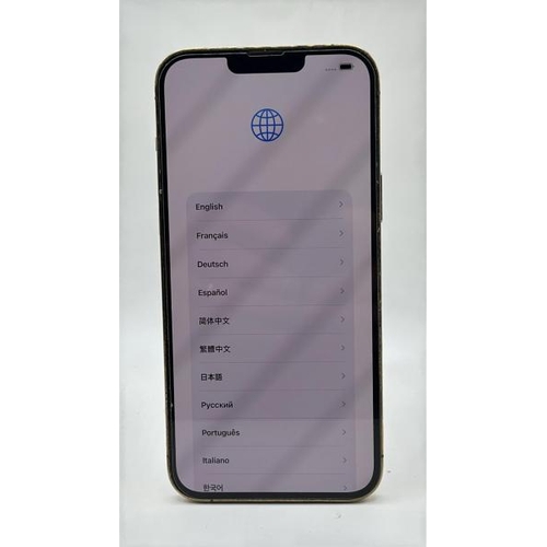 9066 - APPLE IPHONE 13 PRO MAX / A2643 / 128GBGB / IMEI: 359456497648080 / I-CLOUD UNLOCKED