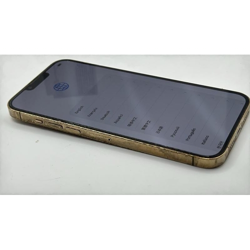 9066 - APPLE IPHONE 13 PRO MAX / A2643 / 128GBGB / IMEI: 359456497648080 / I-CLOUD UNLOCKED