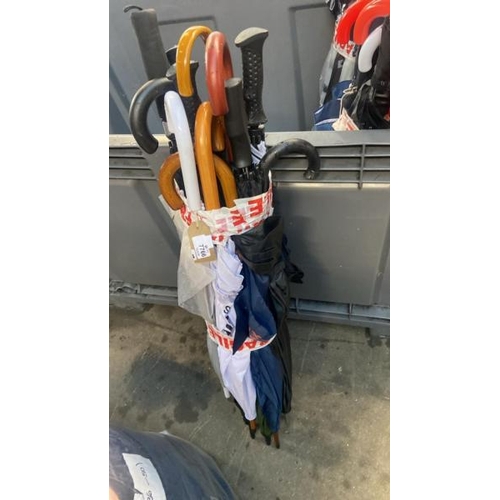 7766 - UMBRELLAS X12