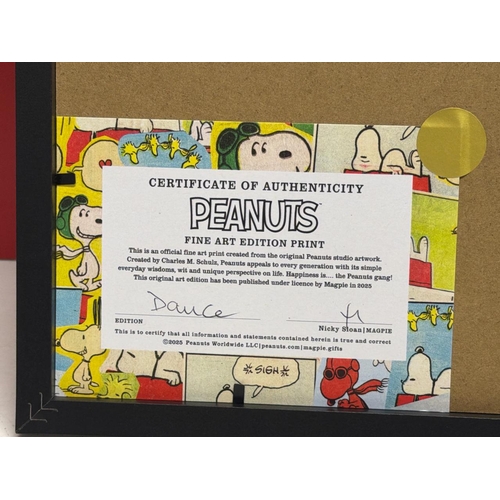 7063 - NEW SNOOPY  & PEANUT PICTURE