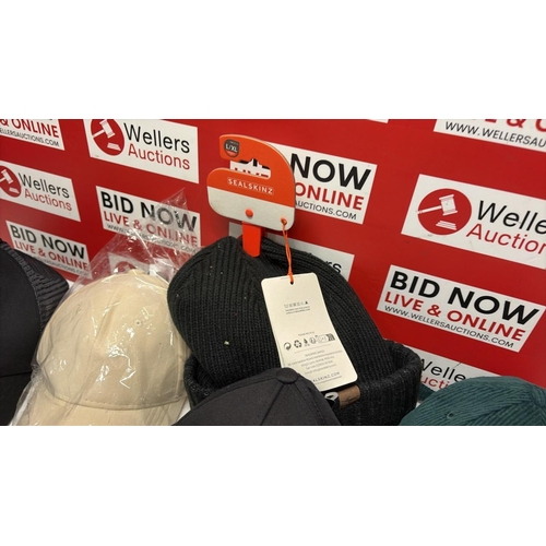 8099 - NEW HATS INC. SEALSKINZ