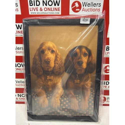 3230 - FRAMED PRINT OF A PAIR OF CUTE SPANIELS, A MUST HAVE FOR ANY DOG LOVER