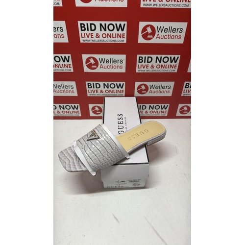 Lot 7006      