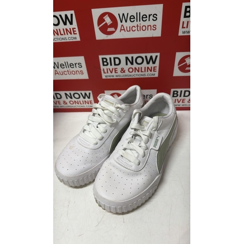 Lot 7036      