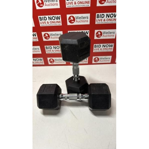3006 - PAIR OF 8KG DUMBBELLS