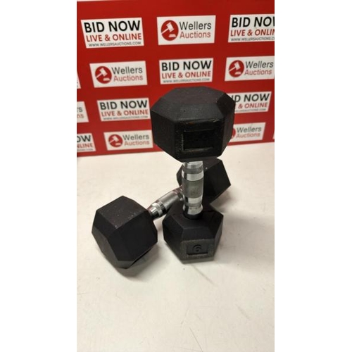 3008 - PAIR OF 6KG DUMBBELLS