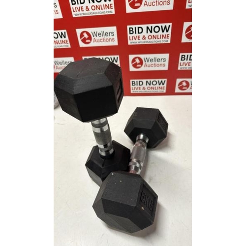 3008 - PAIR OF 6KG DUMBBELLS