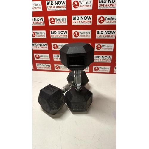 3012 - PAIR OF NORTHERN 12.5KG DUMBBELLS