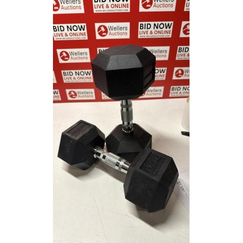 3012 - PAIR OF NORTHERN 12.5KG DUMBBELLS
