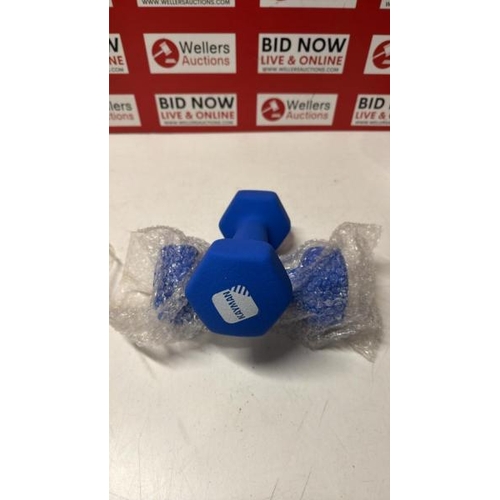 3016 - PAIR OF KAYMAN 3KG DUMBBELLS