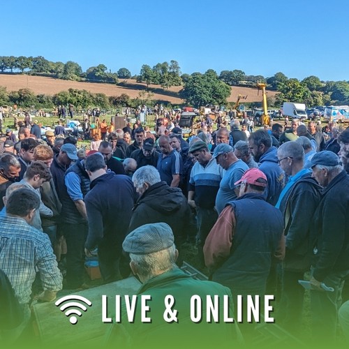 Welcome to the online section of West Meon.

Auction Address:

CROSSROADS SALEGROUND, WEST MEON HUT, PETERSFIELD, HAMPSHIRE, GU32 1JX

For our collection and payment terms please visit the sales important information