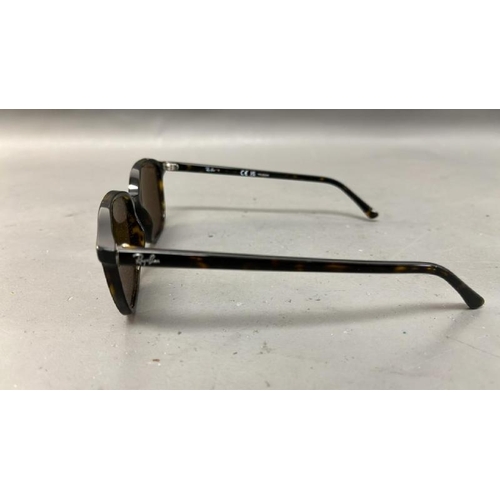 9704 - X1 SUNGLASSES RAY BAN RB2193 LEONARD INC. CASE