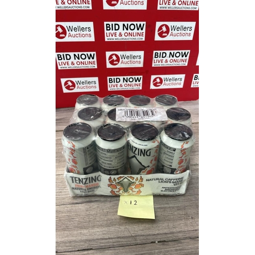 2161 - TENZING FIREY MANGO ENERGY DRINK
