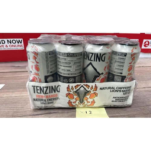 2161 - TENZING FIREY MANGO ENERGY DRINK