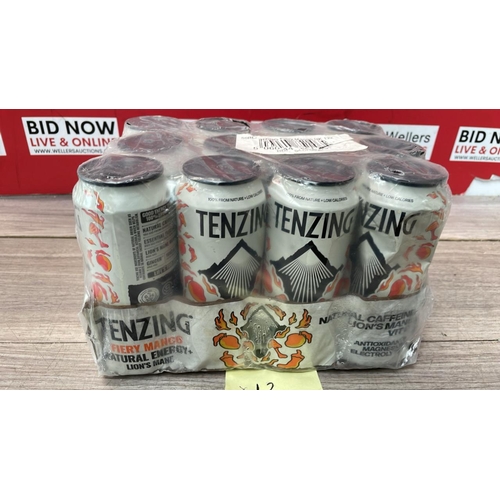 2162 - TENZING FIREY MANGO ENERGY DRINK