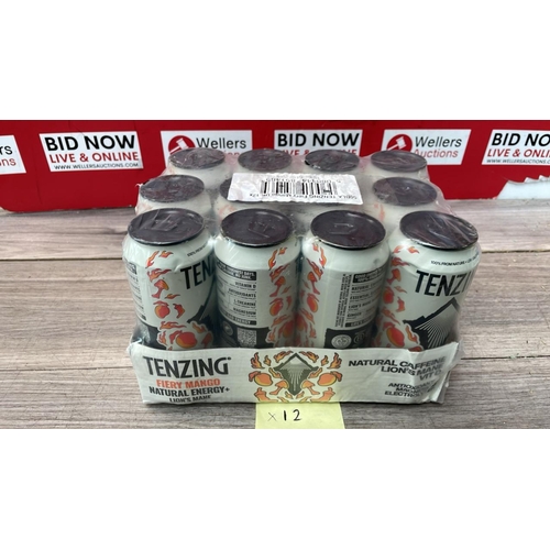 2163 - TENZING FIREY MANGO ENERGY DRINK