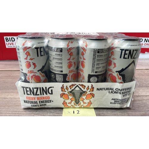 2163 - TENZING FIREY MANGO ENERGY DRINK
