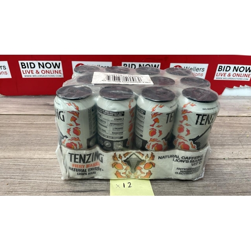 2165 - TENZING FIREY MANGO ENERGY DRINK