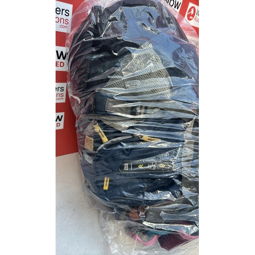 2233 - BAG OF RUCKSUCKS INC SKYBAGS