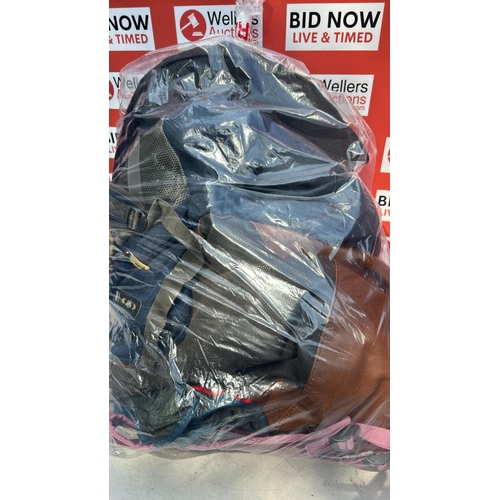 2233 - BAG OF RUCKSUCKS INC SKYBAGS