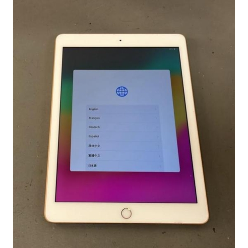 Lot 9509      