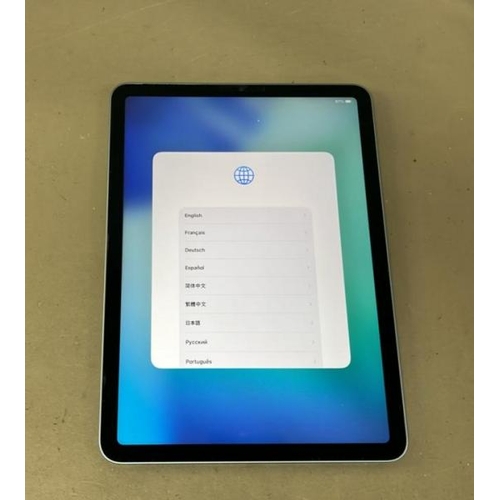 Lot 9517      