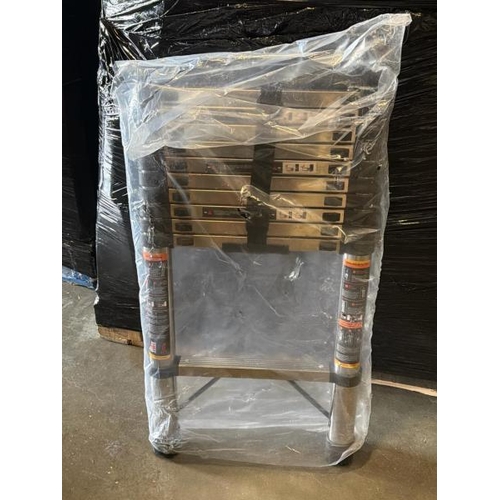 8397 - TELESCOPIC LADDER