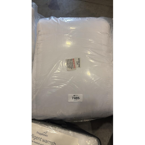 Lot 7485      
