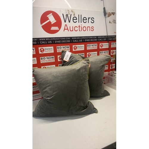 3303 - 2X NEW FURN FEATHER FILLECD SCATTER CUSHIONS