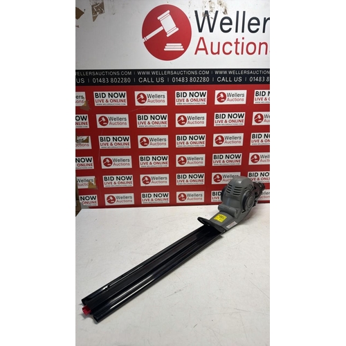Lot 24        