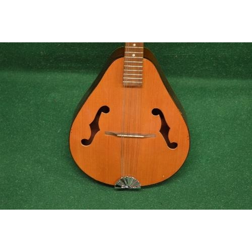 261 - Modern Ozark mandolin with soft case