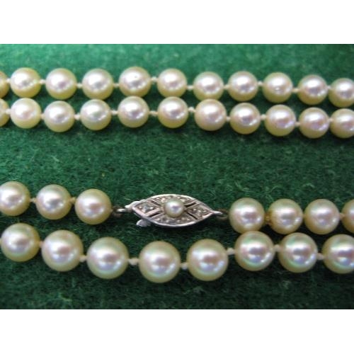 334 - Cultured pearl necklace formed of single row of uniform sized pearls having 9ct white gold clasp set... 