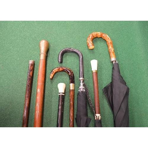 393 - Group of three walking canes having wooden shafts together with a walking stick and three umbrellas