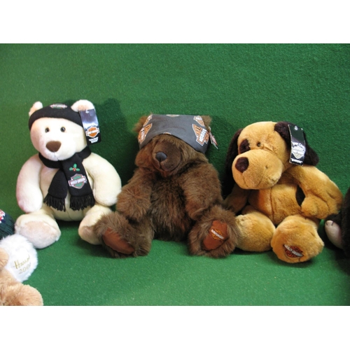 254 - Seven soft toy bears to comprise: three Harley Davidson, 2006 Harrods, Hope & Caring, Woodstock (han... 