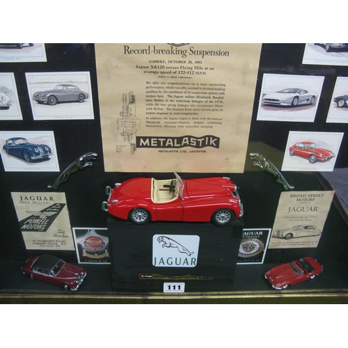 111 - Bespoke 3D framed display for Jaguar containing models, badges and ephemera - 33