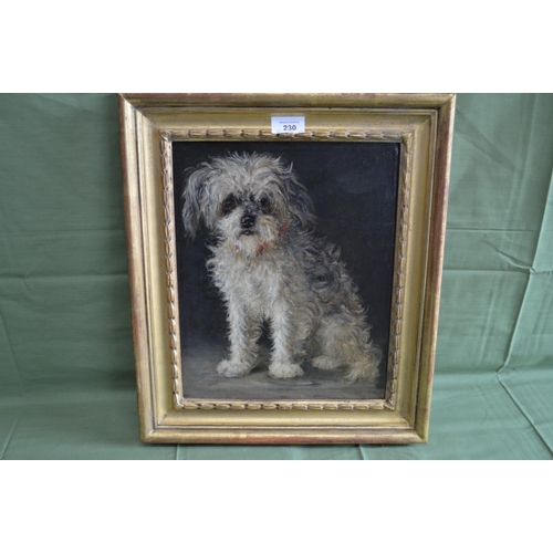 230 - Victor-Henri Juglar, 19th century oil on canvas of a young poodle in a seated position, signed top r... 