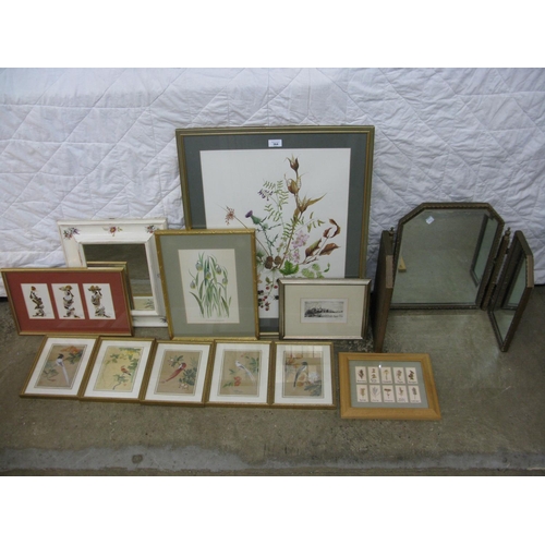 364 - Group of ten framed prints etc and two mirrors