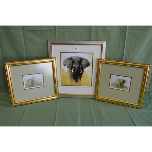 67 - Pair of David Shepherd wildlife prints of lions and elephants, in glazed gilt frames - 5.5