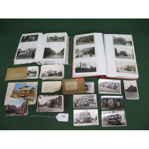 Lot 229       