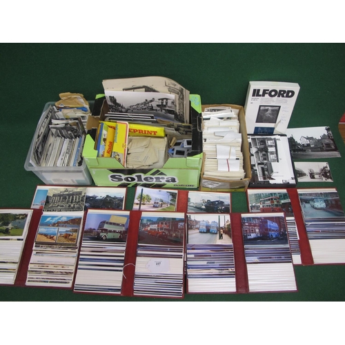 Lot 237       