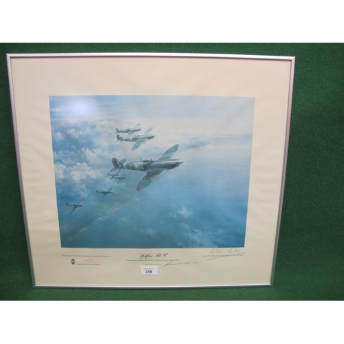 Lot 246       