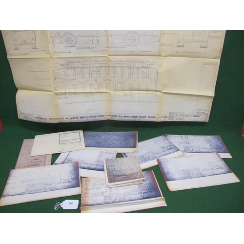 Lot 250       