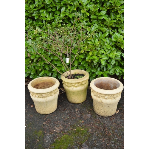 20 - Set of three circular Willowstone planters having flower head design (one planter potted with shrub)... 