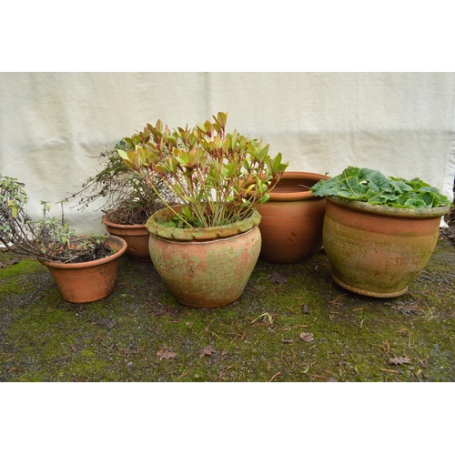 27 - Group of five terracotta plant pots - largest 16.5