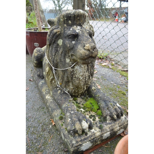 31 - Weathered 20th century statue of a recumbent lion - 35