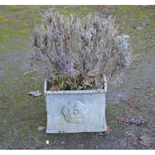 6 - Small rectangular lead planter with Tudor Rose decoration - 12