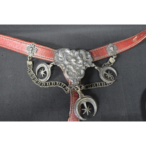 146 - Silver mounted pony's head collar and neck strap