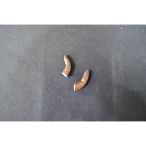 187 - Ernst Wahliss (Austrian) earthenware figure of a young lady - 33