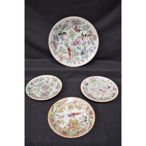 231 - Group of four Celadon green glazed plates having hand painted decoration of birds, butterflies and f... 