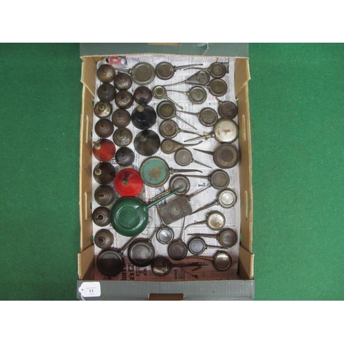 11 - Box of small metal banjo and cone oil cans together with oil droppers